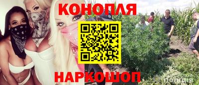 бошки Будённовск