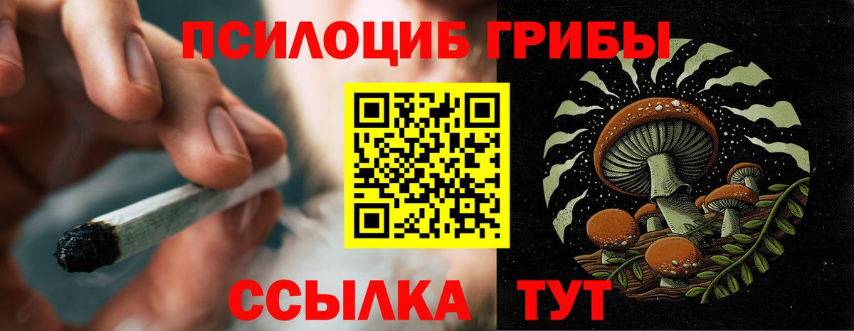 Галлюциногенные грибы GOLDEN TEACHER  Вход с VPN  Красный Сулин 
